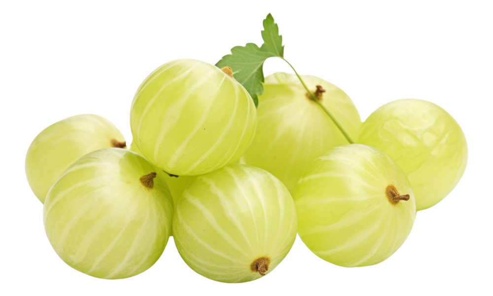 Amla